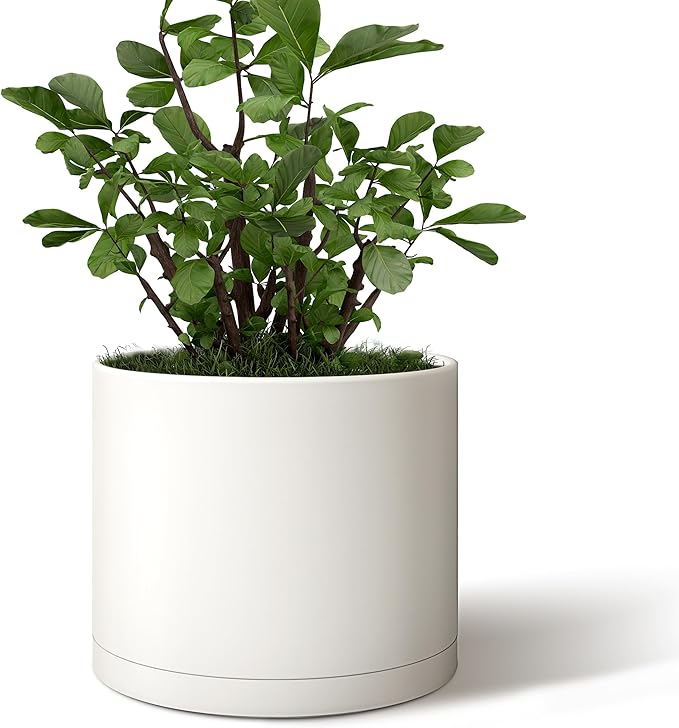 Giraffe Creation 10-Inch Round Cylinder Plant Pot, Modern Indoor/Outdoor Planter with Drainage Hole, Saucer & Water Reservoir, White