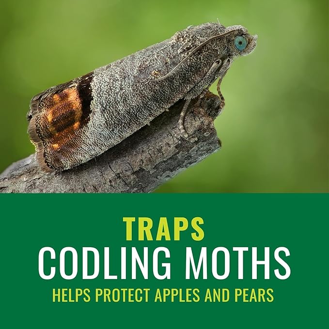 NATRIA Codling Moth Pheromone Trap, Ready-to-Use, (1-Pack) with NATRIA Neem Oil Spray for Plants Pest Organic Disease Control, for Insects, 24 Oz, Ready-to-Use