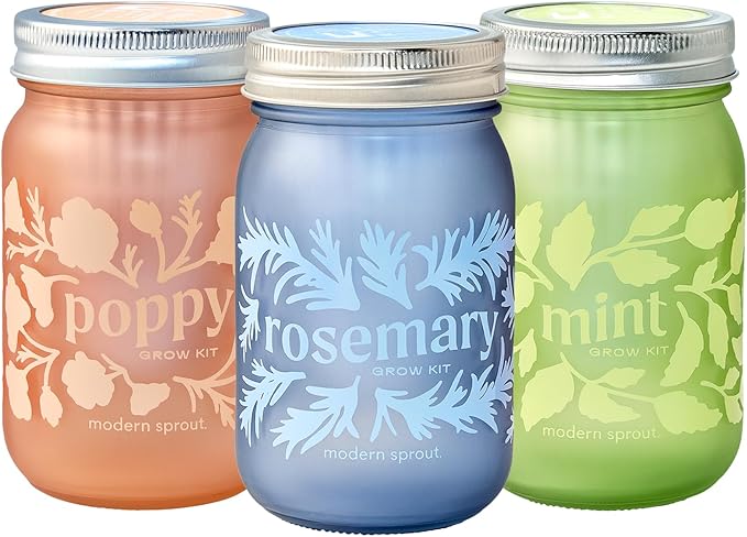 Modern Sprout Mason Garden Jar - Self-Watering Hydroponics Growing System Kit with Organic Herb Seeds - Jar Planter for Indoor Herb Garden - Seed Starter Kit Mint+Rosemary+Poppy