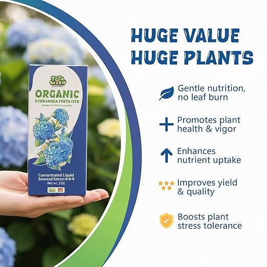 Organic Hydrangea Fertilizer, OMRI Listed Liquid Seaweed Extract Plant Food, 2oz Concentrated Kelp Meal Nutrient Boost for Blooming Vibrant Growth