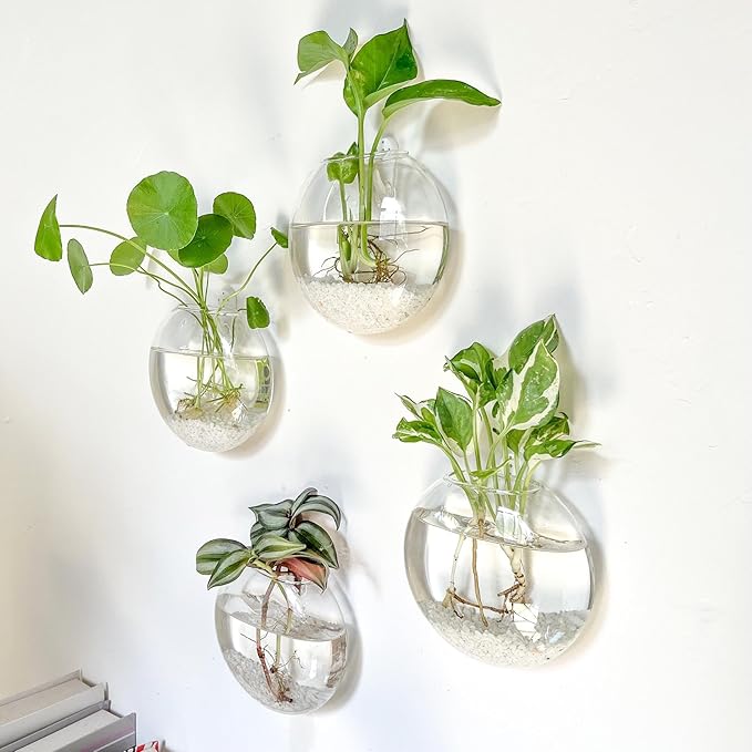 Kingbuy Wall Hanging Glass Planter Propagation Station - 6 Pack Oblate Globe Wall-Mounted Vases for Indoor Hydroponic Air Plants Bathroom Living Room Office Decor Gift for Women, Mom, Plants Lovers