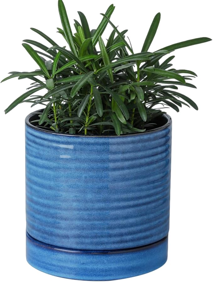 HASENSE Ceramic Plant Pot with Saucer, 6 Inch Planter for Indoor/Outdoor Plants with Drainage Hole,Blue Glazed Flower Pot for Succulents, Snake Plants & Cactus, Modern Farmhouse Decor & Gift