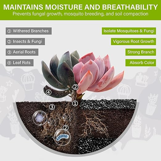 NUPICK 3lb River Rocks for Plants Indoor, 1/5 Inch Black Pebbles for Vases Fillers, Decorative Pea Gravel for Fish Tank, Natural Polished Stones for Succulent, Bonsai, Landscaping, Bird Baths