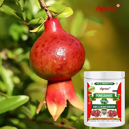 Agreno® Pomegranate Buds and Fruits Booster, Essential Powerful Organic Fertilizer Granule for Fast Growth and Heavy Fruiting of all types of Pomegranate Plants. (450 gm)