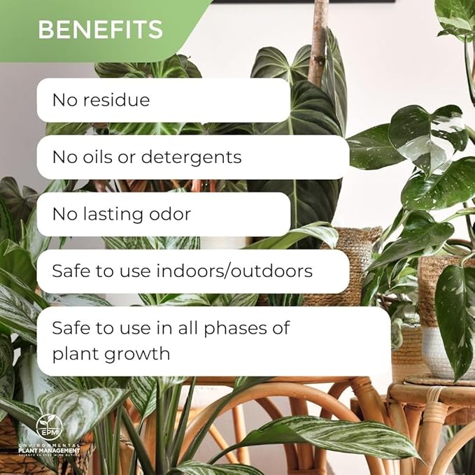 Environmental Plant Management ECO Green Ready-to-Use | Spray & Walk Away Leaf Cleaner for Live & Artificial Plants | No Wipe Plant Wash | Pet Safe, Indoor & Outdoor Use