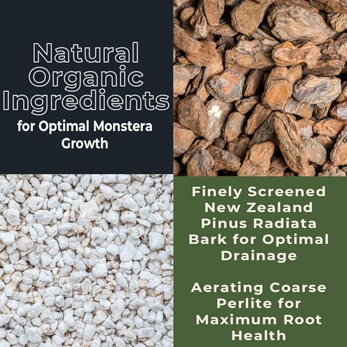 GARDENWISE Monstera Potting Soil Mix – Organic, Fast-Draining, Chunky Soil with Coconut Coir & New Zealand Bark for Indoor Plants – Premium Fertilizer for Monstera Deliciosa, Albo & More (3 quarts)