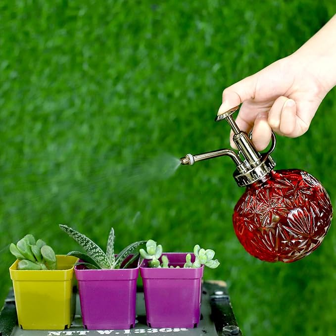 Hniuyun Glass Plant Mister Spray Bottle, 6.5inch Tall Vintage Round Spritzer with Bronze Plastic Top Pump for Watering Your Garden (Red)
