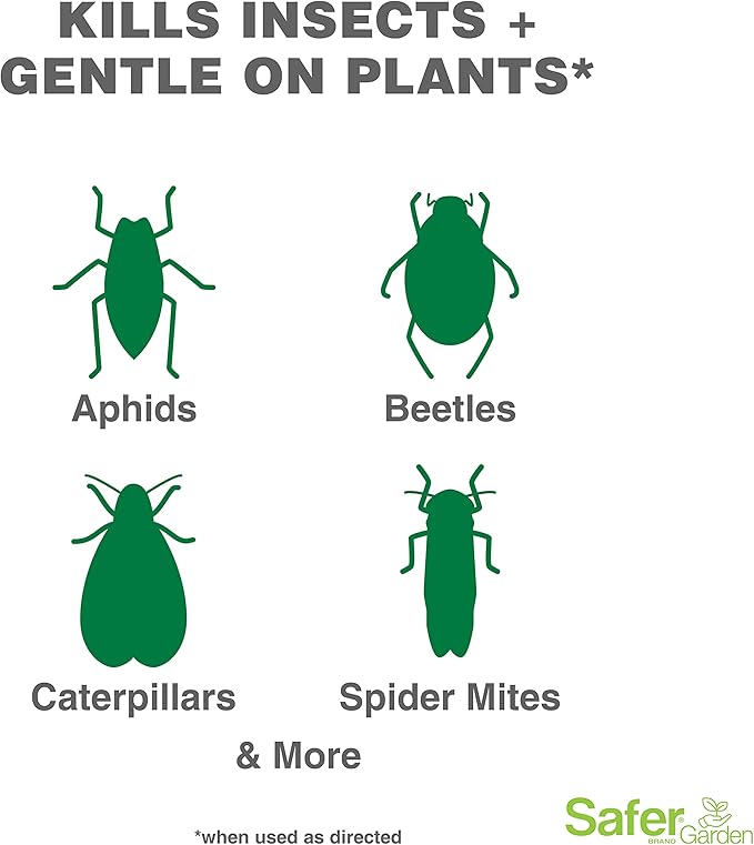 Safer Brand Garden Insect Control and Killer Spray – Kills Aphids Beetles, Boxelder Bugs, Caterpillars, Earwigs, Spider Mites, Stink Bugs & More – Natural Oils Gentle on Plants, SG5110 – 24 fl oz