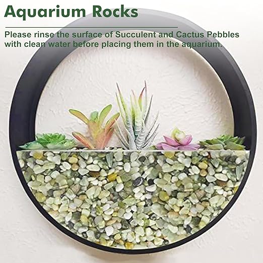6.6 lbs Succulent and Cactus Bonsai Pebbles, 6-9mm Decorative Landscaping Polished Stones Natural Garden Gravel Rocks for Indoor Outdoor Plants Aquariums DIY, and Gardening Top Dressing, Jade Green