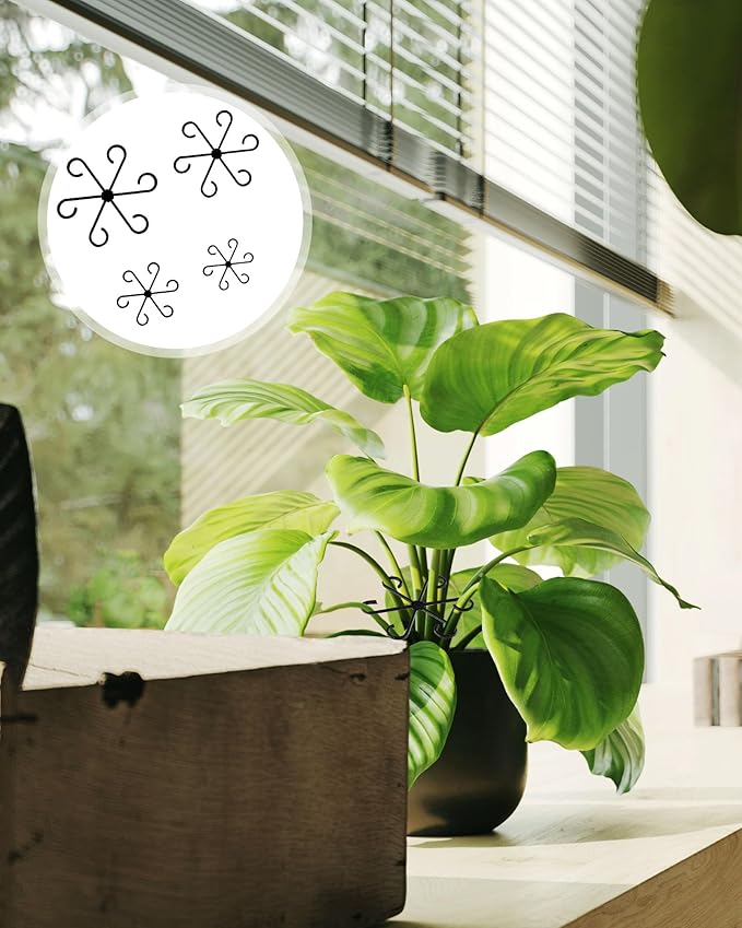 12Pcs Plant Stem Support,4 Sizes Reusable Monstera Plant Support Stakes Durable Plastic Climbing Houseplant Stem Hook Holders for Flower Plants Indoor Outdoor Growth Accessories