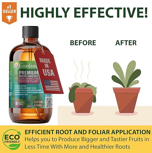 GARDENERA Premium Organic Seaweed & Kelp Superfood for Orchid Plants - 32 oz - Liquid Kelp Fertilizer Concentrate (Makes 180 Gallons)