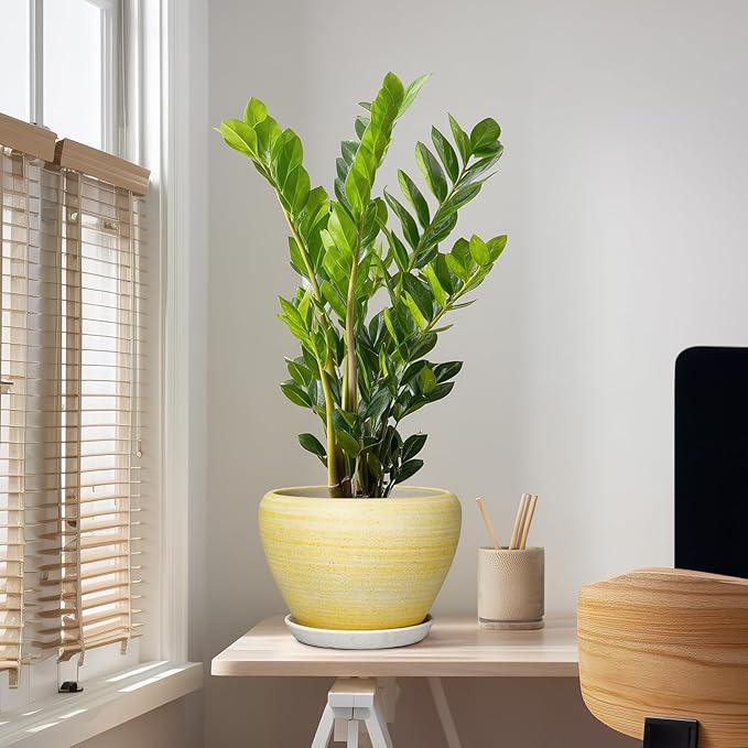 Ceramic Planter 10 Inch - Ceramic Pots for Plants Indoor Outdoor, Modern Plant Pots with Drainage Hole and Saucer, Round Decorative Planter, Bedroom Decor, Gardening Gifts, Textured Yellow