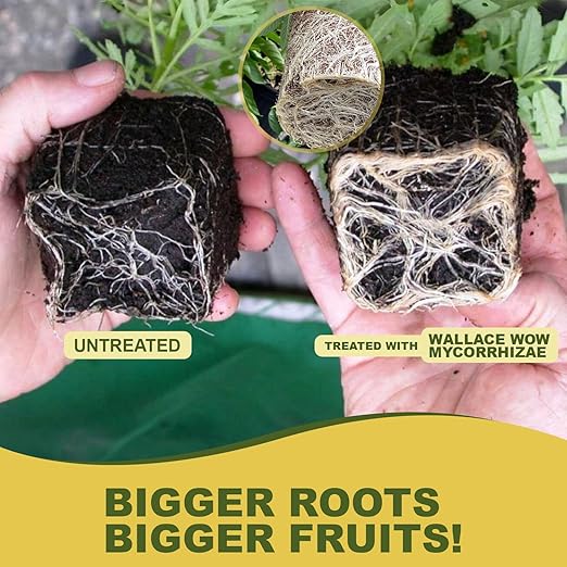Wallace Organic Wonder Mycorrhizal Inoculant (20 lbs) - Mycorrhizal Fungi - Super Concentrated - Fresh Mycorrhizae for Plants, Garden Soil, & Potting Soil - Organic Root Stimulator for Plant Growth