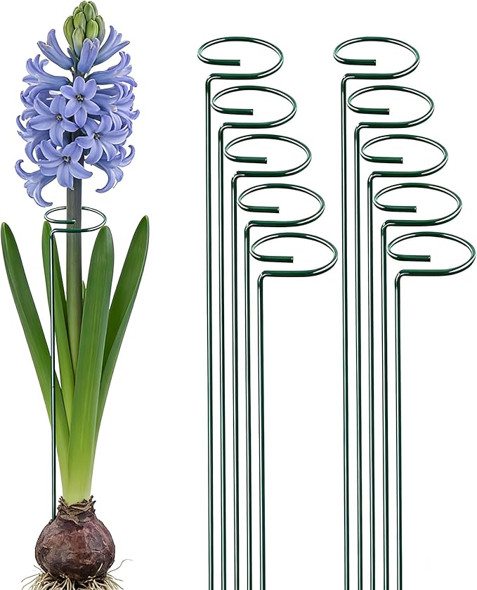 10 Pieces 16 inch Green Single Stem Plant Stakes Garden Plant Support Rings Flower Support Hoops Prop for Amaryllis Orchid Lily Rose Peony