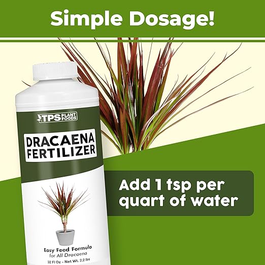 Dracaena Fertilizer – Liquid Plant Food for Rich Green Leaves & Strong Cane Growth, 32 oz