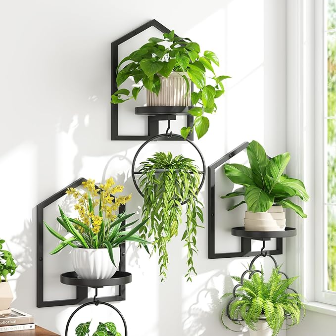 iDavosic.ly Wall Plant Picture Frame Holder Set of 3 for Indoor, Metal Stand with Hanging Hooks, Floating Flower Display Home Decor, Space Saving & Easy to Assemble (Pots/Chains/Plants Not Included)