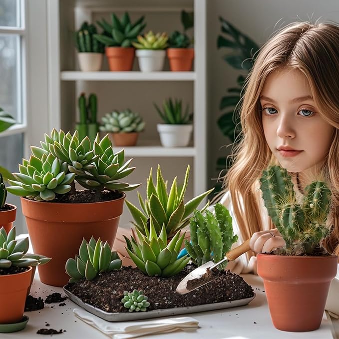 Doter Cactus & Succulent Soil Mix 4qt, Chunky Well-Draining Soil for Indoor Plants - Spike & Bloom
