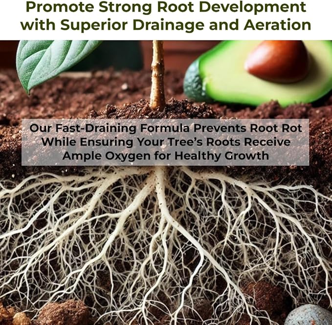 GARDENWISE Avocado Tree Soil – Premium Organic Potting Mix for Avocado Trees | Tailored pH & Organic Nutrients | Fast-Draining & Moisture-Retaining | Indoor & Outdoor Use (1 Quart)