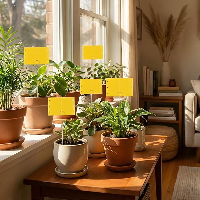 50 Pcs 12 Inch Dual-Sided Yellow Fruit Fly Traps Kit Includes 25 Sticky Cards and 25 Golden Long Wire Holders Effective Insect Gnat Trap Killer for Garden Plant Indoor Pest Control Fungus Gnats