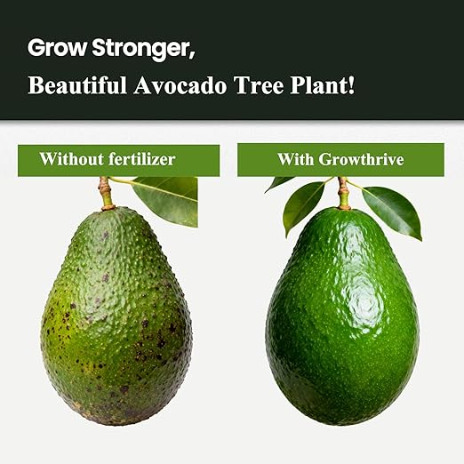 Avocado Plant Food 10oz – Organic Liquid Fertilizer with Probiotics, Natural Root & Leaf Booster, Chemical-Free Avocado Tree Fertilizer for Bigger, Tastier Fruits, Strong Growth