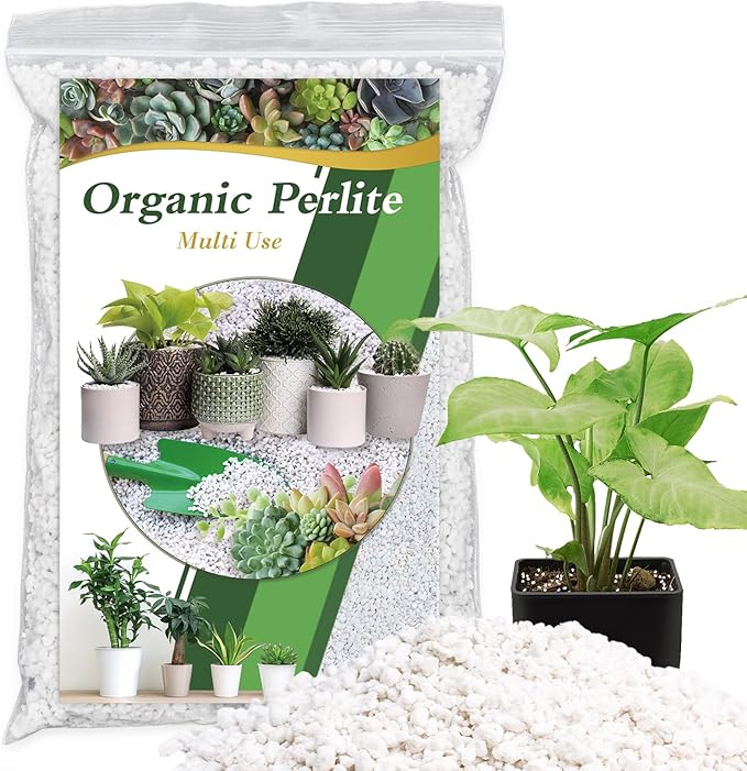 HAINANSTRY Organic Perlite for Plants, Enhances Soil Drainage and Aeration, Perfect Perlite for Plants Indoor & Outdoor, Horticultural Perlite for Gardening, Perfect for Potting Mixes, 2QT