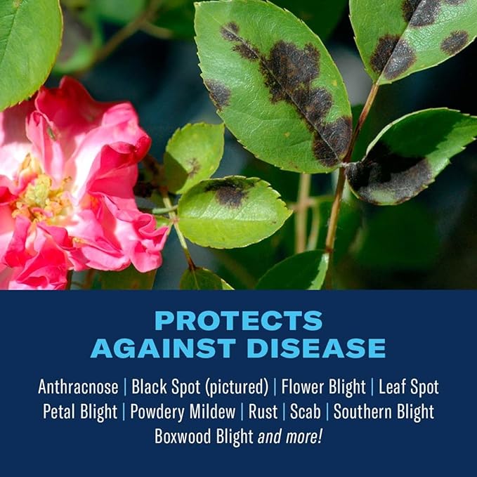 BioAdvanced Disease Control for Roses, Flowers and Shrubs, Concentrate, 32 oz, Makes 42 Gals of Spray Fungicide for Plants