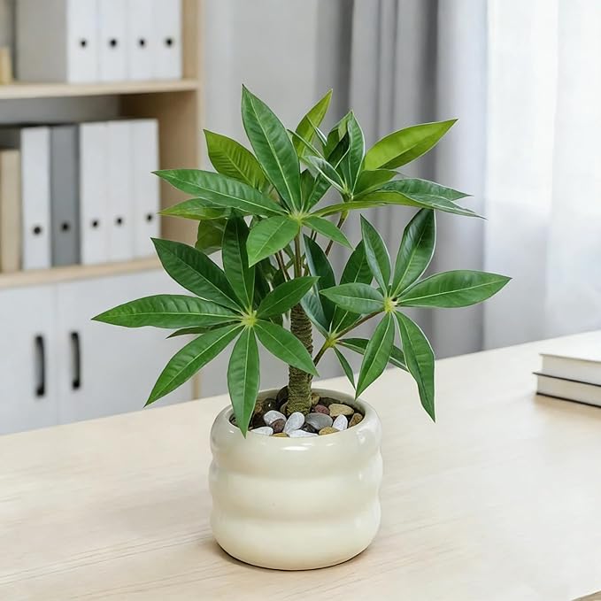 Artificial Money Tree Plant, Small Fake Potted Plants in Ceramic Pot, INS Tabletop Decor Accessories for Office, Side Table,Nightstand, Entryway,Bathroom, Living Room, Coffee Bar