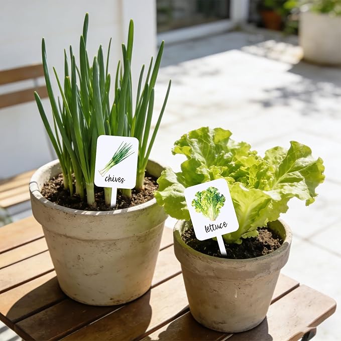 Whaline 20Pcs Acrylic Vegetable Fruit Plant Label Signs Garden Markers 20 Styles Watercolor Vegetable Fruit Waterproof Potted Plant Stake Tags with Names for Nursery Indoor Outdoor Garden Decor