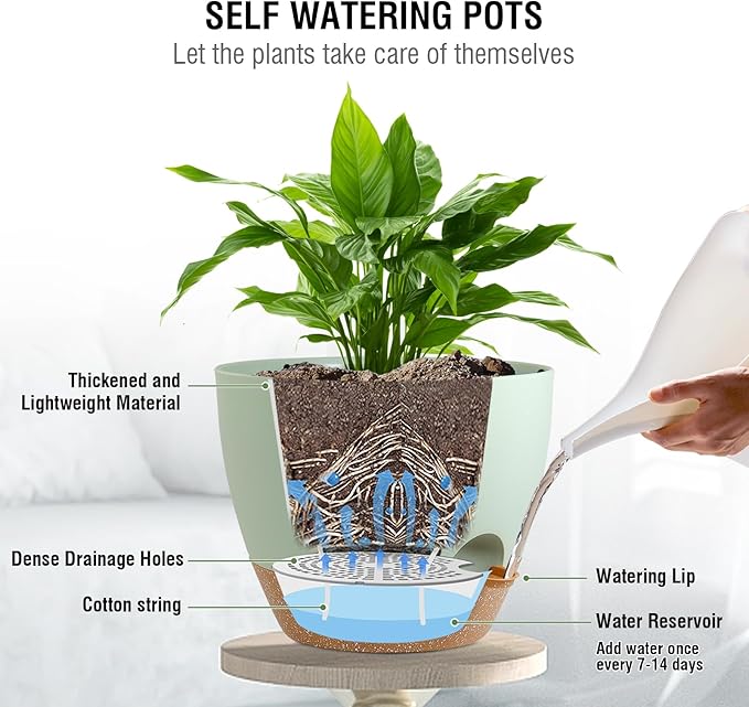 Meowell 10 inch Self Watering Hanging Planters for Indoor Plants, 2 Pack Hanging Baskets for Outdoor Plants, Hanging Flower Pots with Drainage Holes & 2 Kinds of Plant Hangers for Home Decor, Green