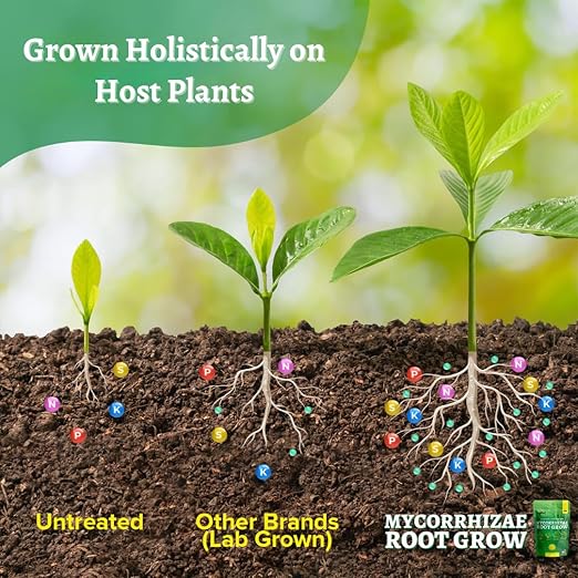 Mycorrhizal Fungi Root Grow All Natural Mycorrhizae for Plants Myco Ultra Soil Real Growers Plant Success Root Enhancer for Plants Microbes for Soil Mycorrhizal Inoculant Root Powder for Plants Soil