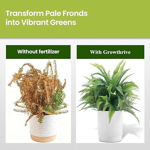 Fern Liquid Fertilizer – Natural Organic Plant Food for Ferns, Indoor & Outdoor Use, 10 Oz Concentrated Probiotic Formula for Greener Leaves, Strong Roots & Healthy Growth
