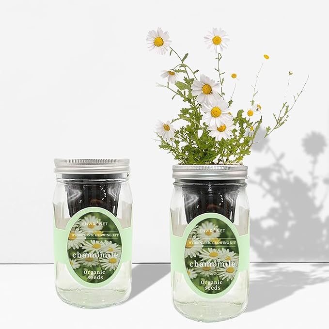 Hydroponic Herb Growing Kit, Self-Watering Mason Jar Herb Garden Starter Kit Indoor, Windowsill Herbs Garden, Grow Your Own Herbs from Organic Seeds (Chamomile)