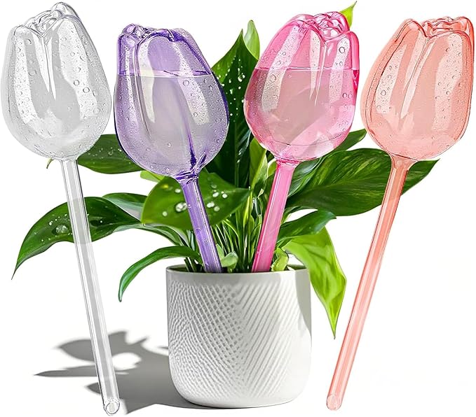 TJE Self Watering Glass Globes for Plants - Automatic Plant Waterer Bulbs with Rainbow Colors, Indoor/Outdoor Drip Irrigation Device for Vacation (Champagne, Pink, Purple, Clear)