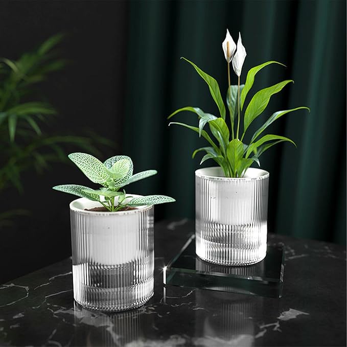 7 Inch Self Watering Pots,Clear Self-Watering Planters Box for Indoor Plants Flowers Outdoor Windowsill Gardens Comes with 1 Bag of White Pebbles