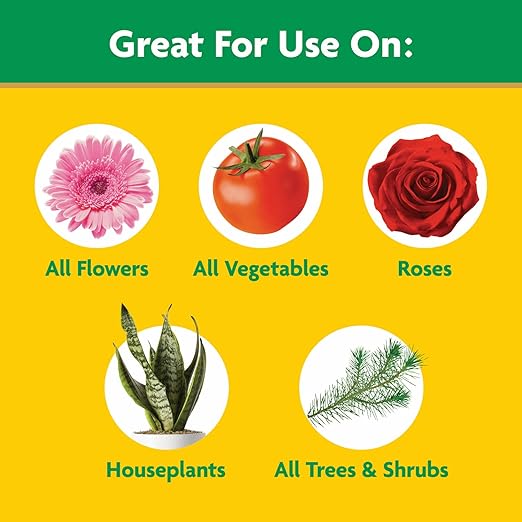 Miracle-Gro Water Soluble All Purpose Plant Food - Fertilizer For All Indoor or Outdoor Plants including Roses, Flowers, Vegetables, Houseplants, Trees, and Shrubs, 6.25 lbs.