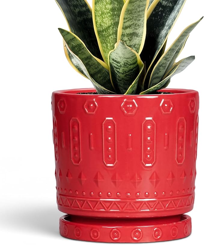Eightpot 6 Inch Plant Pot, Ceramic Flower Pots for Indoor Outdoor Plants, Round Pots for Plants with Drainage Hole and Tray, Boho Decorative Planter, Kitchen Decor, Gardening Gifts for Women, Red