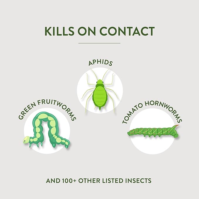 Garden Safe Brand Houseplant & Garden Insect Killer2, 32 Fluid Ounces, Kills 100+ Listed Insects on Contact, For Use in Homes, Home Gardens & Home Greenhouses Up to Day of Harvest