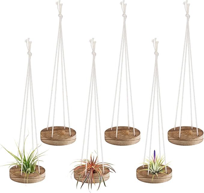 6 Pcs Hanging Wooden Air Plant Holder - 3" Round Airplants Live Hanger with Ropes, Rustic Tillandsia Succulent Display Container Stand for Home Office Decor Housewarming Gift (Excluding Plants)