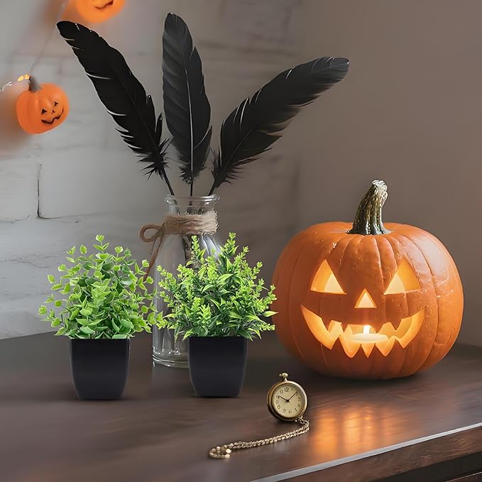 2 Pack Small Fake Plants Black Bathroom Accessories for Home Bedroom Bathroom Kitchen Decor