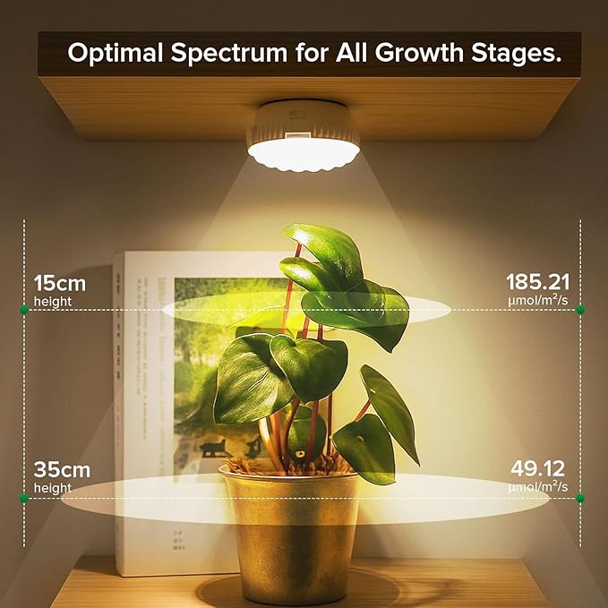 7W Grow Light for Indoor Plants, Full Spectrum Plant Light with Auto Timer (3/6/12H) & 4-Level Dimming, Small Led Grow Light for Seedlings, Succulents, Herbs