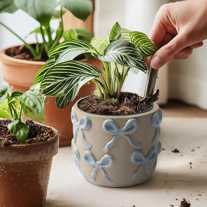Ceramic Flower Pots for Indoor and Outdoor Plants, Succulent Orchid Round Clay and Terracotta Planter for Garden Home Modern Decoration 5.3 Inch (Blue Bow, Without Saucers)