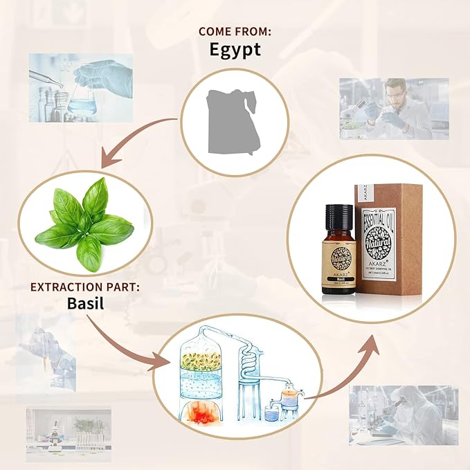 AKARZ Basil Essential Oil Natural Organic Pure Premium Therapeutic Basil Oil for Skin Body Hair Care,Diffuser, Candle,Soap,Making, DIY,Massage Aroma 0.34 Fl Oz (10ml)