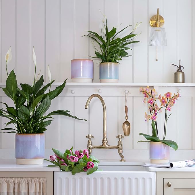 Ivyline Planter, Earthenware, Pink, 19.5 x 18.5