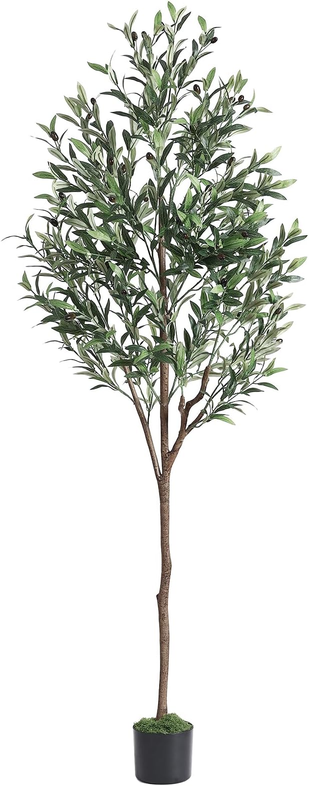 Alupssuc Olive Trees Artificial Indoor, 6FT Tall Faux Olive Tree with White Planter, Artificial Plants with Lifelike Fruits and Realistic Leaves for Modern Home Office Living Room Decor