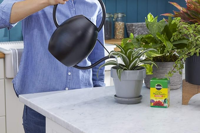 Miracle-Gro Water Soluble All Purpose Plant Food - Fertilizer For All Indoor or Outdoor Plants including Roses, Flowers, Vegetables, Houseplants, Trees, and Shrubs, 8 oz. (2-Pack)