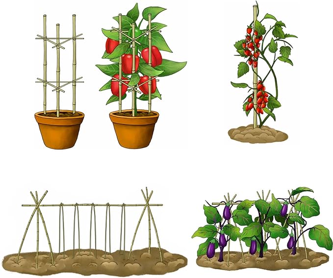 Cambaverd Bamboo Stakes 4 Feet Thicker Garden Stakes with Garden Twine, Diameter of 0.55in Natural Plant Stakes Bamboo Poles for Climbing Plants Support Tomato Cage - 20 Pack Bamboo Sticks for Plants