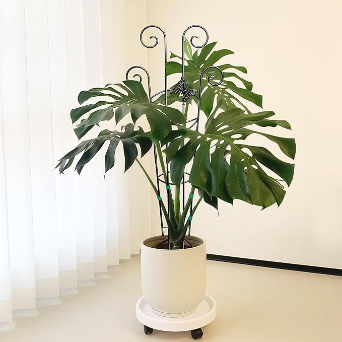 Coomin 32.6in Monstera Plant Support for Indoor Plants, 4P Trellis for Climbing Plants Indoor, Plant Climber Stakes for Potted Plants
