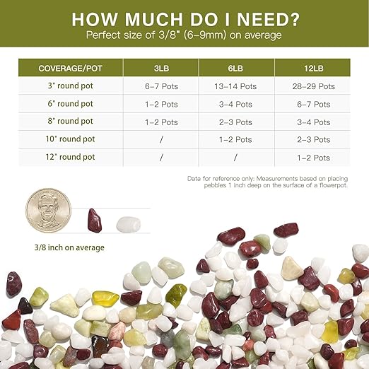 NUPICK 3 lbs Pebbles for Indoor Plants, 3/8 Inch Pea Gravel for Fish Tank, Polished Decorative Rocks for Succulent, Natural River Stones for Vases, Cactus, Landscaping, Bird Bath, Colorful Mixed