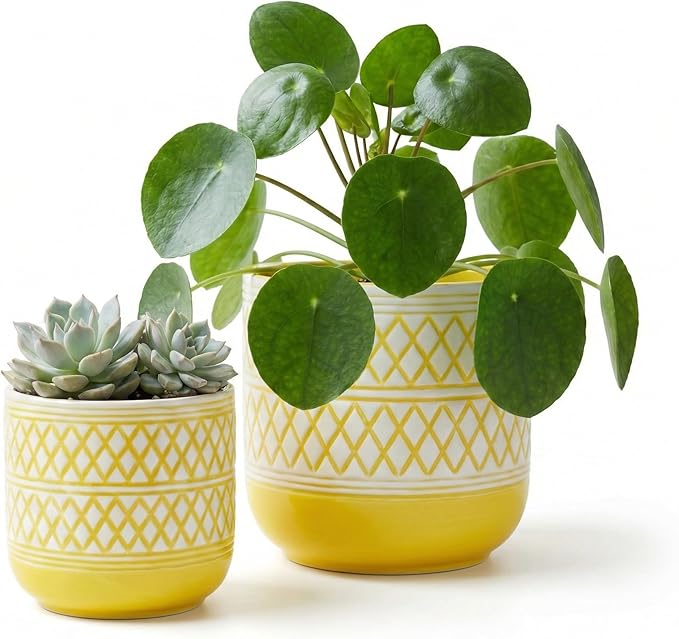 HERDUK Decorative Ceramic Flower Pots Set of 2 – 6 & 4.7 Inch Indoor Plant Pots, Boho Decorative Pots for Plants, Orchid & Succulent Planters with Drainage