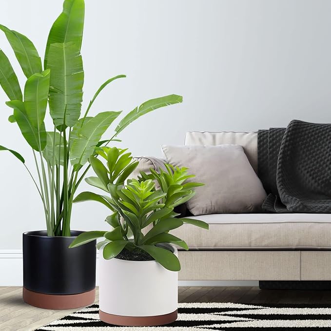 Yukfona Ceramic Plant Saucer Pot Tray 10 Inch, Planter Saucers 4 5 6 7 8 9 10 11 12 13 Inch for Indoors Outdoor, Durable Sturdy Flower Drainage drip Water Tray for Glazed Pots Base (10.7 Inch-Brown)